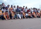 Dukung Keanekaragaman Hayati Laut, PT AR Lepas 1.000 Tukik di Pantai Barat Muara Opu Tapsel