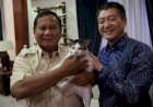 Dikunjungi Dubes China, Prabowo Dapat Ucapan Selamat